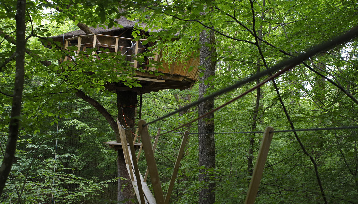 Cabane En Bois Dans Les Arbres : dans les arbres dans le Perche / Location cabane dans les arbres Cabane En Bois Dans Les Arbres : dans les arbres dans le Perche / Location cabane dans les arbres