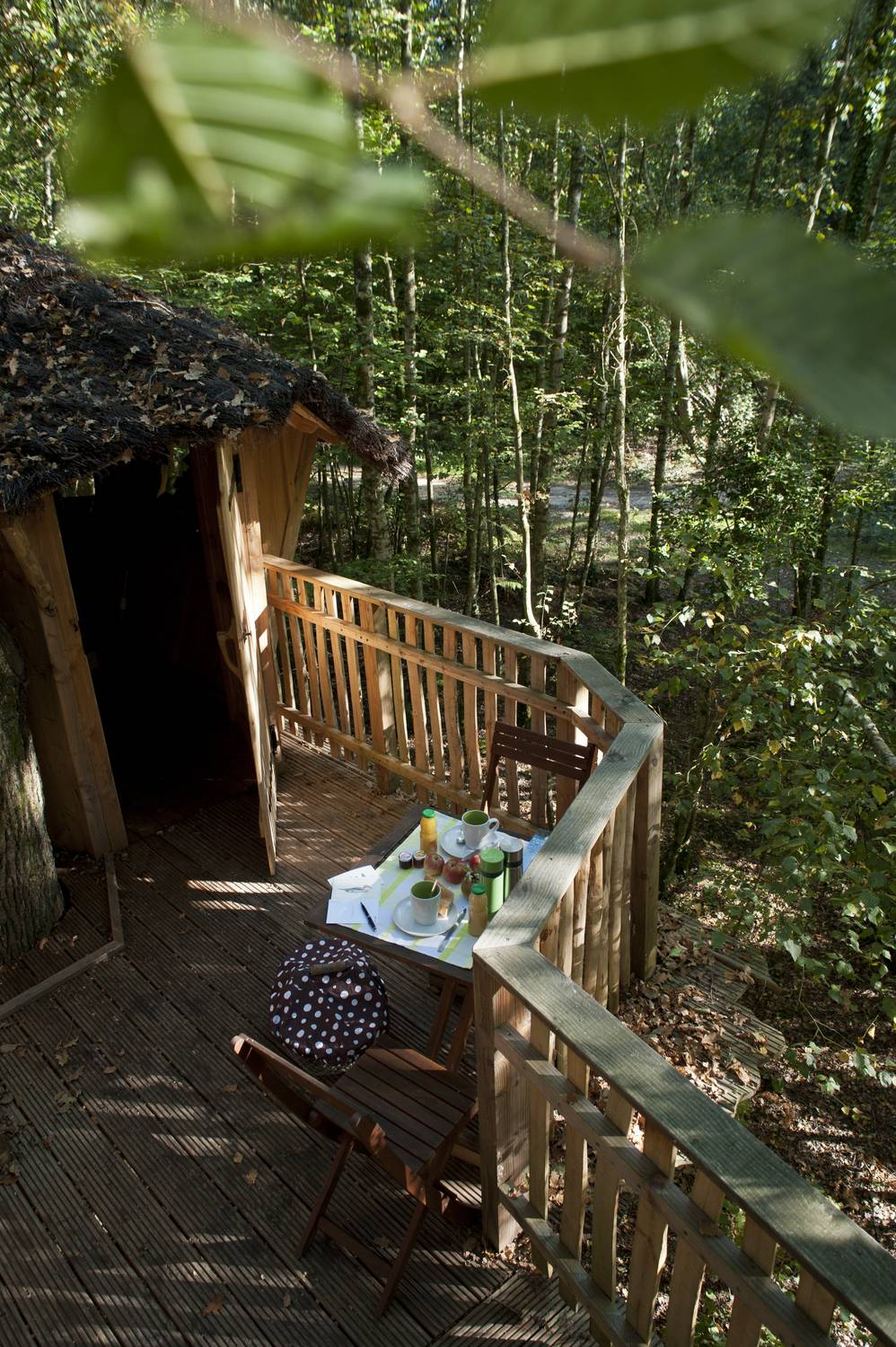 Cabane M - Terrasse