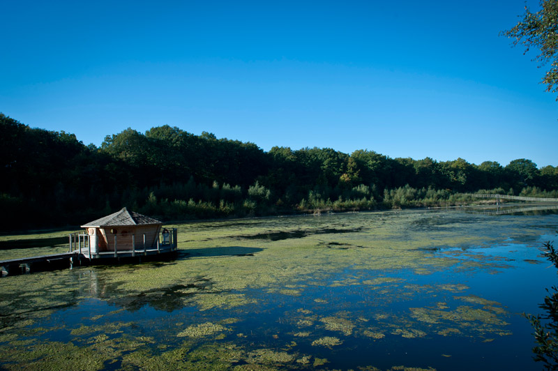 Cabane-O