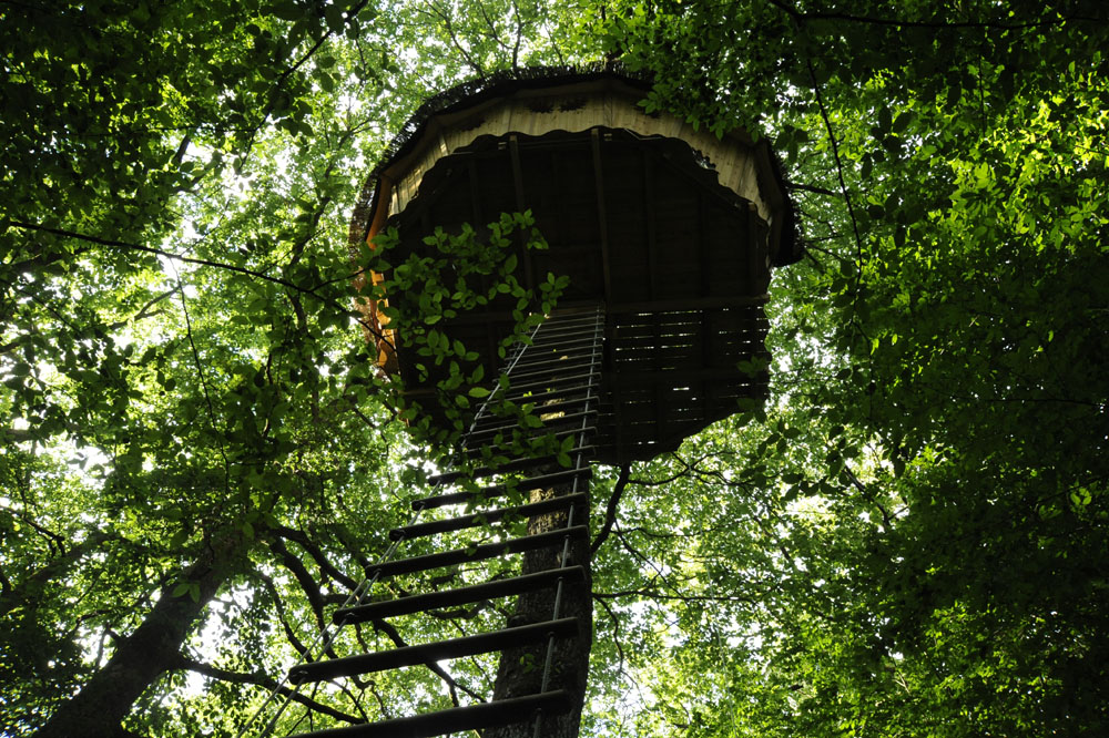 Cabane nid échelle