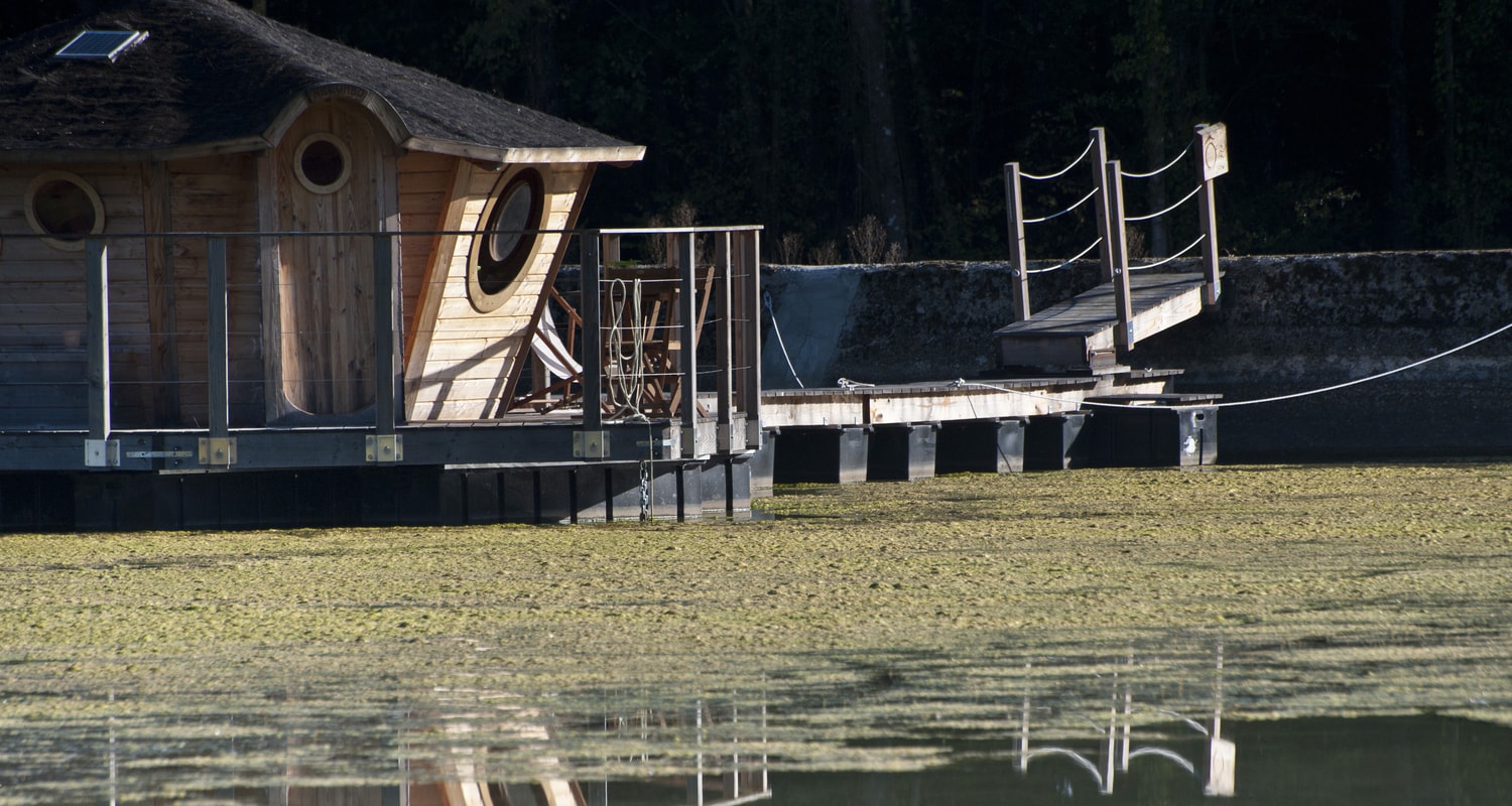 Cabane Dans Les Arbres, Cascade, Étang De Pêche Vert Et Plus