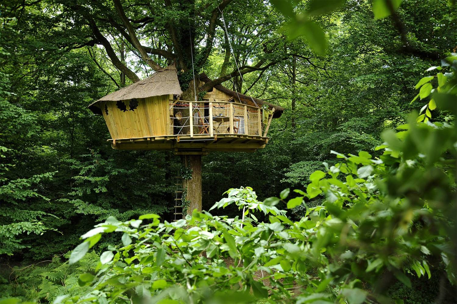 Cabane Escalier