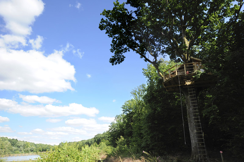 Cabane Oiseau 5