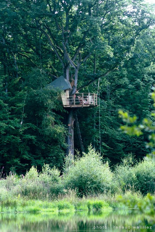 cabane-oiseaux2