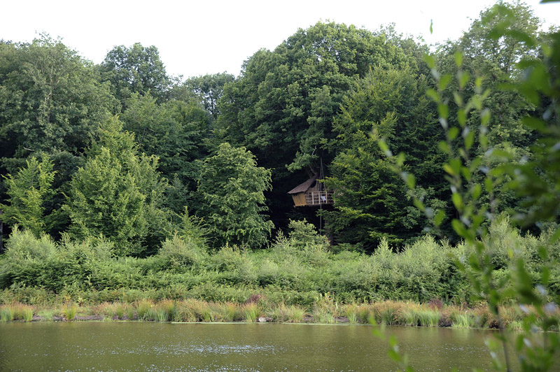 Cabane Sessile 3