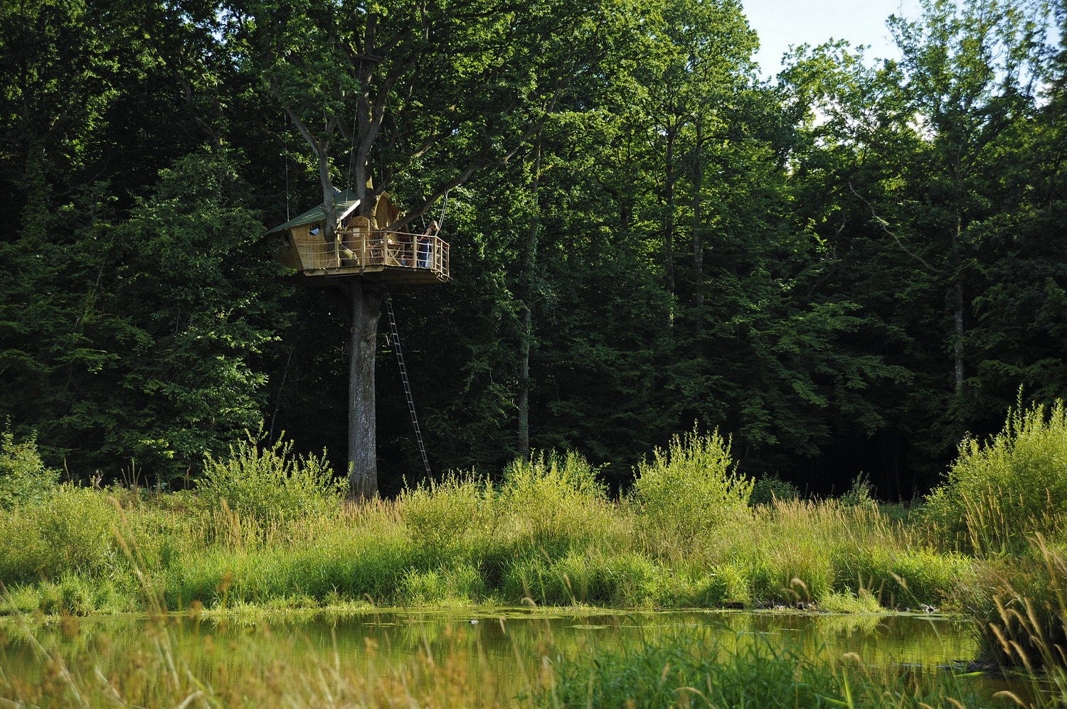 Accueil - Cabanes dans Arbres